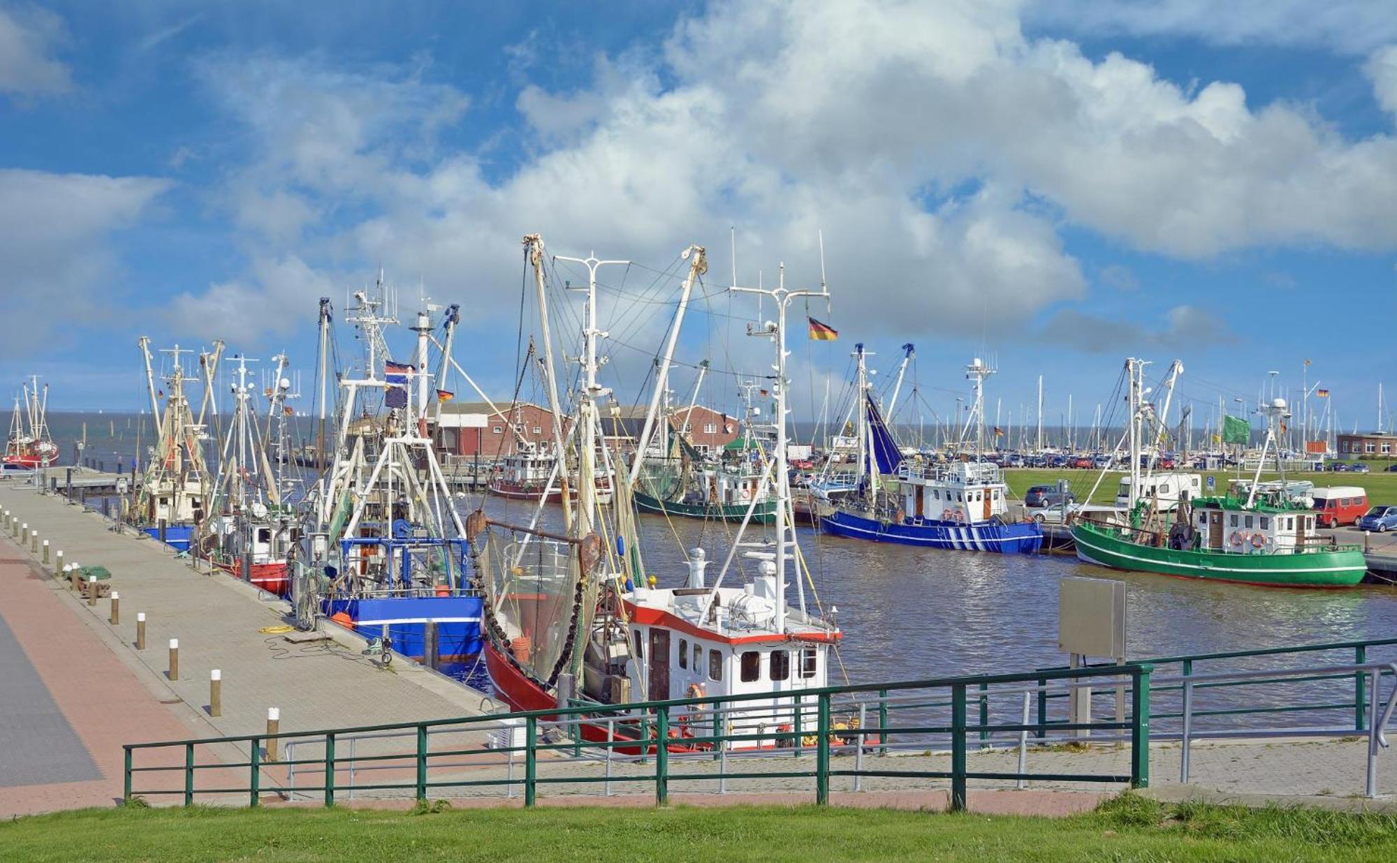Ferienhaus Hornhecht Dornumersiel Buitenkant foto